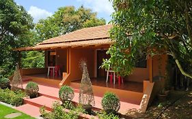 Nature First Eco-Village